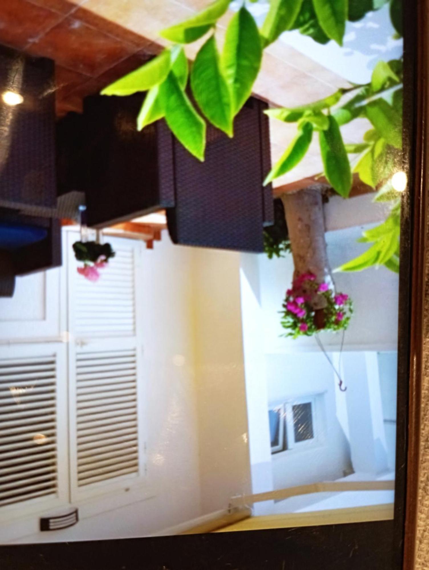 Apartmani Trubi 1 Vodice Luaran gambar